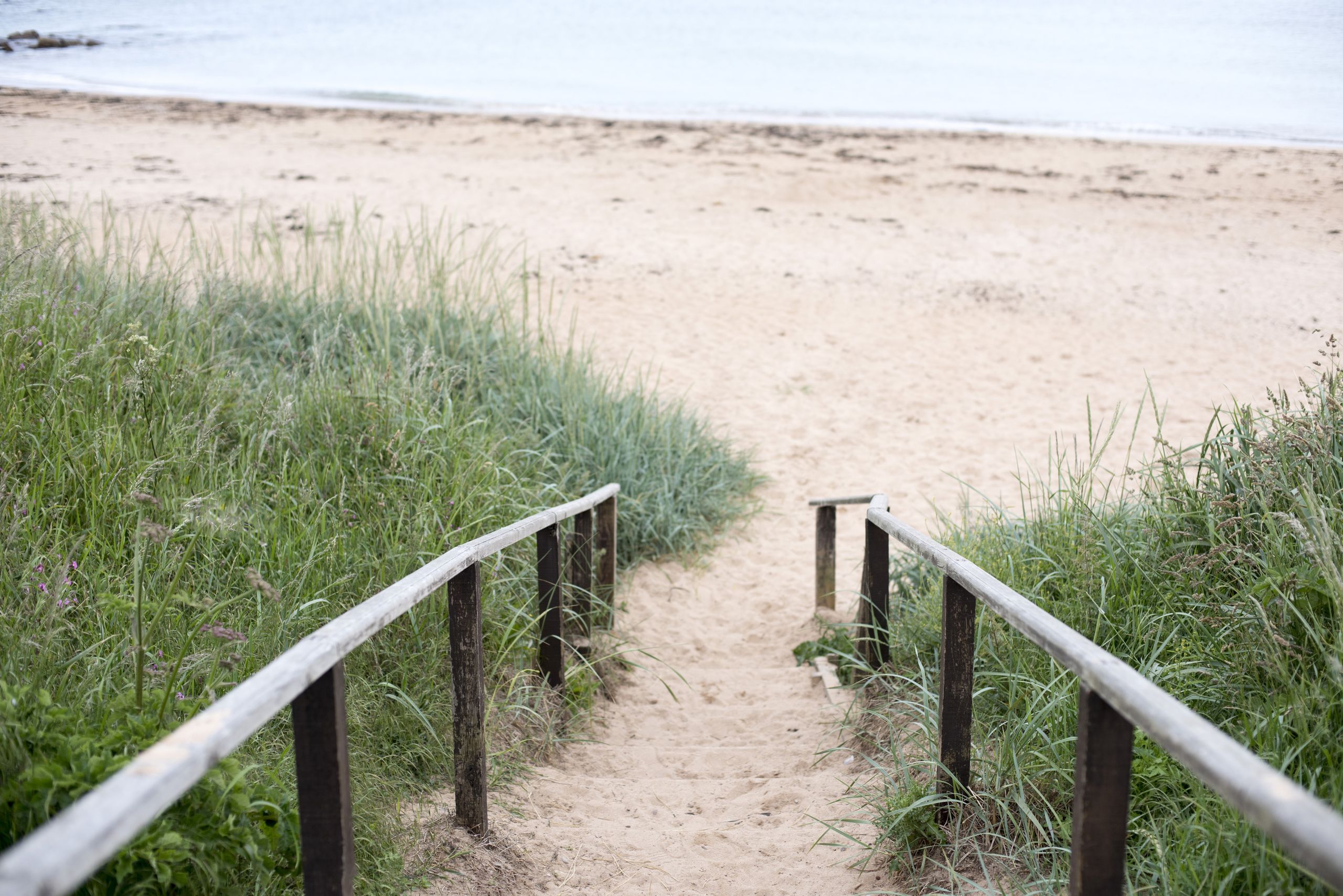 The Fife coastline, with the path down to the beach and the sea beyond